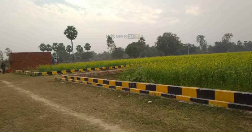 Khwaja Royal Greens Cover Image